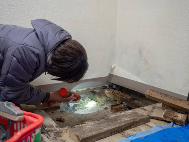 Best Comprehensive Air Testing for Mold Contaminants  in Tropical Park, FL
