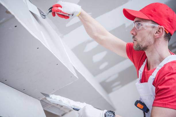 Best Forensic Mold Investigation  in Tropical Park, FL